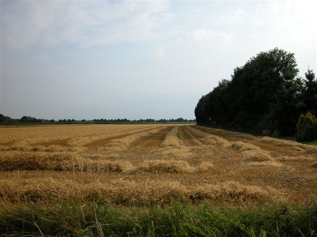 Gersteland in Breedenbroek nabij ex-caf de Marmelhorst